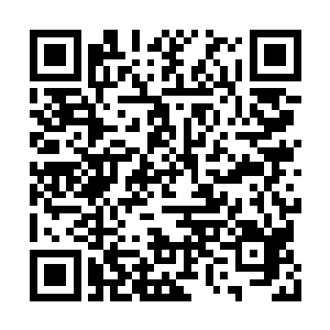 这一声充满怨气跟诅咒般的声音传荡整个镇魔塔二维码生成