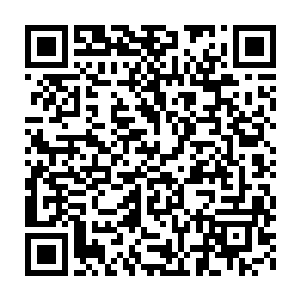 这一声叹气顿时将日月白玉七彩巨蟒和苏落的注意力全吸引过去了二维码生成
