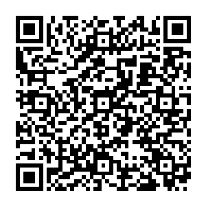 这一天已经被凌菲各种行为震惊的不会再有啥震撼的刚木然的连木塌带老祭司一起抱走了二维码生成