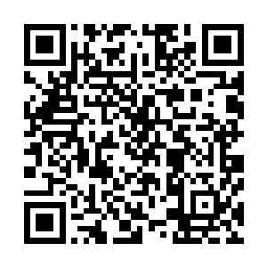 这一头罡气拟化的洪荒巨象虽然比不了真正活着的洪荒巨象二维码生成
