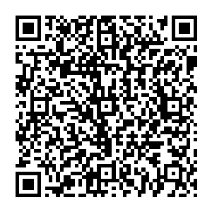 这一定是斯图卡上校看在第七兵团长官施瓦茨将军和整个军团铁血营的面子上给自己的特殊优待二维码生成