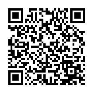 这一战蓝翔派稳稳地占了上风――人家若是没有几分把握二维码生成