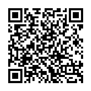 这一招竟然会在这一个和鹤派完全没什么关系的家伙手上出现二维码生成