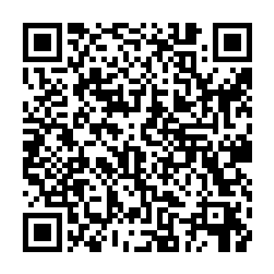 这一支奋勇上前的精兵的最前方那几排人忽然像是撞击到了一层无形的墙壁似的二维码生成