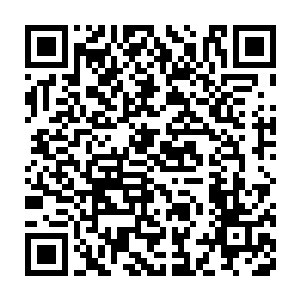 这一支是当初戎族一分为三的三支后代中掌握了操控百兽的那一支二维码生成
