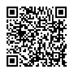 这一期硬照的主题是保护野生动物而不是猎杀野生动物二维码生成