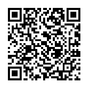 这一次三大协会年轻弟子和埃及法老门下弟子的比试二维码生成