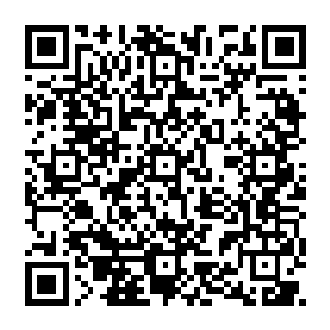这一次不是的任务如果不是要无声无息杀掉有武学宗师巅峰级别的人物保护的曹金科二维码生成