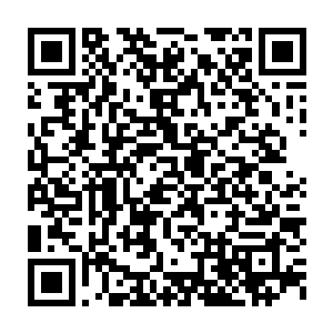 这一次也还是毫无悬念的带被对手那狂暴的掌力狠狠的击飞了……二维码生成