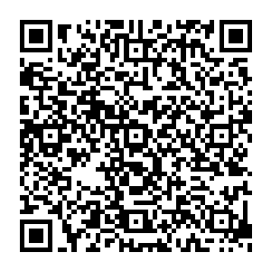 这一次亿万众生重新稳定了心神或许接下來才会有一场矿石大战唯有不停的交战才能打出一个第一以及绝代霸主二维码生成