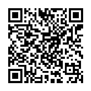 这一次他可是下了巨额的赌注赌他赢得学院大赛的冠军的二维码生成