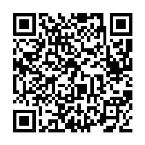 这一次他的胸膛在没有抵挡住这一件法宝的攻击二维码生成