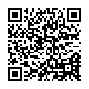 这一次卷福等人却没有办法如第一次那样轻易的杀死泡泡龙二维码生成