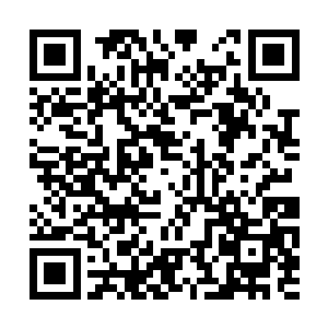 这一次同上一次白飞曜挑衅父亲的时候完全不一样二维码生成