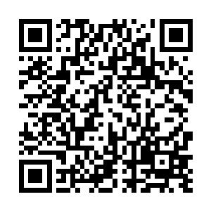 这一次在准确的查到刘飞和冷冰冰出现在菜场的消息后二维码生成