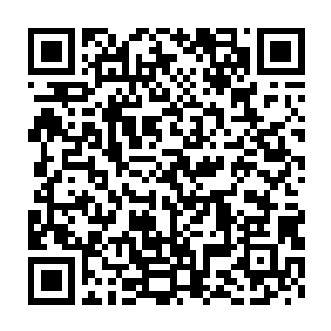 这一次杨戬在丹师大会上面的收获甚至都不足以弥补这一晚上的消耗二维码生成
