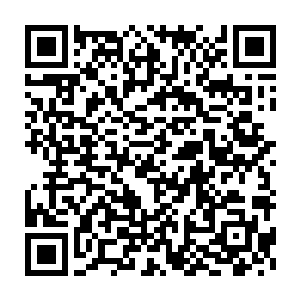 这一次杨戬在混乱之城元辰那里还有拍卖会上收获了几株顶尖的药材二维码生成