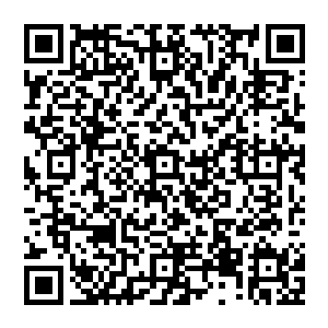 这一次格森王国和秦皇国两国联军跋涉万里之遥讨伐天鹰王国的事情不仅在格森王国中闹得人人皆知二维码生成