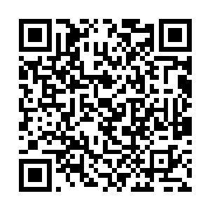 这一次海底的谁都因为我们的碰撞激起了一阵冲击波二维码生成