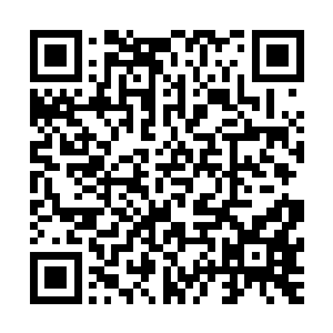 这一次炼制小星辰幡要比之前的时候炼制星辰幡要简单了不少二维码生成