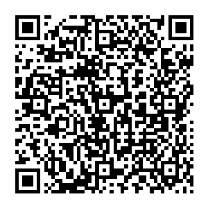 这一次的兽族之所以会出现异变很大一部分原因便是来自于白儿和仙儿她们姐妹之间出现的问题二维码生成