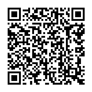 这一次的学校优秀班集体我可是全权交给学校里的公正处来执行了二维码生成