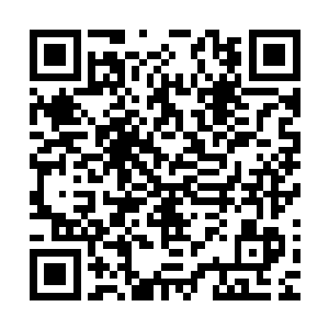 这一次的常委会主要就是司南下自己设计的城市改造蓝图问题二维码生成
