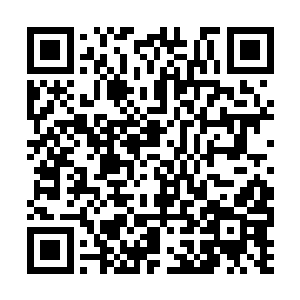 这一次的治疗只是我根据涅槃的习性做的一次尝试二维码生成