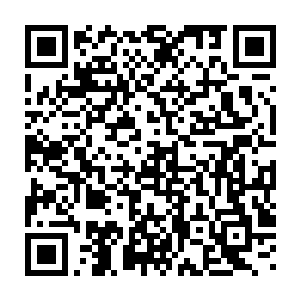 这一次给我们清北大学新生军训的是我们国家的王牌特种兵部队呢二维码生成