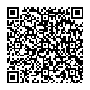 这一次绿洲乐队和荣耀至死奉献了更加精彩的对决――首日销量双双迈过三十万门槛二维码生成