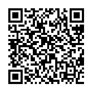 这一次蛮州城之行对于杨戬的冲击可以说是十分的大二维码生成