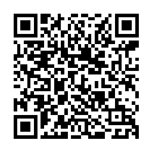 这一次通过神元造化丹不单单是将自己的第二元神彻底的实化了二维码生成