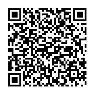 这一次雷欢喜和小胖非常仔细的一寸一寸检查着到底疏漏了什么地方二维码生成
