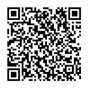 这一段时间在探讨谈论的都是宋州电视台搞出来的这一期寻宝鉴宝节目二维码生成