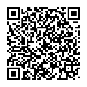 这一段时间我看徐书记和冯区长隔山岔五带着一帮人到西一环南段转悠二维码生成