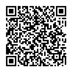 这一片海域还是生活了相当多的海兽……不乏一些实力强横的超级存在的二维码生成