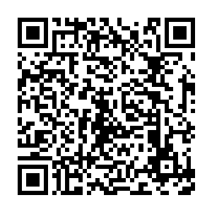 这一秒就眯起眼睛笑眼弯弯的举了举手里捂着的手机跟她撒起娇来二维码生成