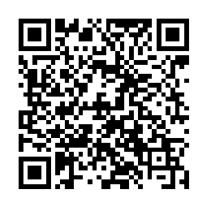 这一结果让张主管等人感到放松的同时也更加的愤怒了二维码生成
