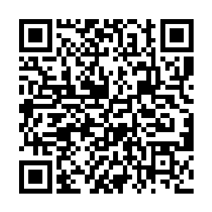 这一股强大的雷电力量同样也在撕裂抗拒林烽的灵识二维码生成