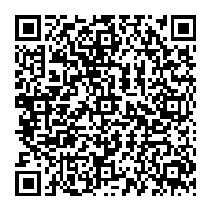 这一趟旅行虽然去过的地方不是特别多・但王铮却感觉没有任何一个行星像地球这样充满了力量二维码生成