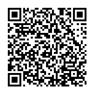 这一路拖回去要是把宝贵的皮毛给拖的严重破损了那可就不划算了二维码生成