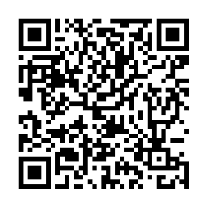这一道神通算是杨开继承了梨花神君衣钵传承之后参悟所得二维码生成