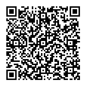 这一颗墨绿色的内丹也就算是毫无遮掩的出现在了秦方的面前了……这是一颗墨绿色的球状物体二维码生成