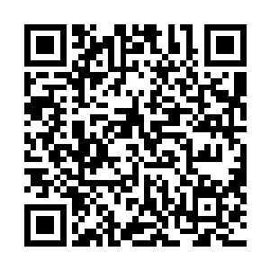 这七彩长矛也是硬生生的撞开了愤怒手中的曼殊沙华之剑二维码生成
