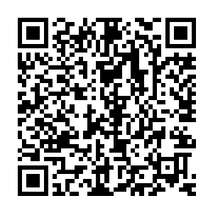 这三位的长相都是属于丢在大街上绝对是看一眼就忘记的普通大众脸二维码生成