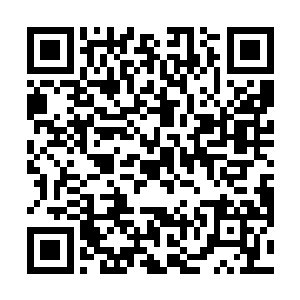 这三家运营商没有一家给予过这套系统的推广任何帮助二维码生成