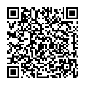 这上万神级黑暗精灵只怕就会被这数百越战越强的阴灵给彻底撕碎吞噬了二维码生成