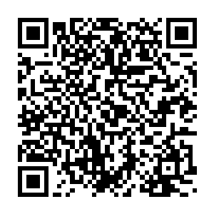 这上千不朽妖族绝对比他们之前在镇妖塔中遇到的不朽妖族要强大得多二维码生成