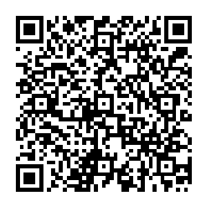 这下转眼间就被杨晨拉走了三十几个……等于交流大会真实的选举目的已经彻底泡汤了二维码生成