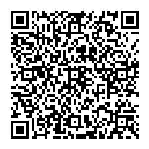 这不是他们俩为了打通自己这个关节而瞎编出的理论……虽然不知道为什么珍妮弗会那么笃定地说二维码生成